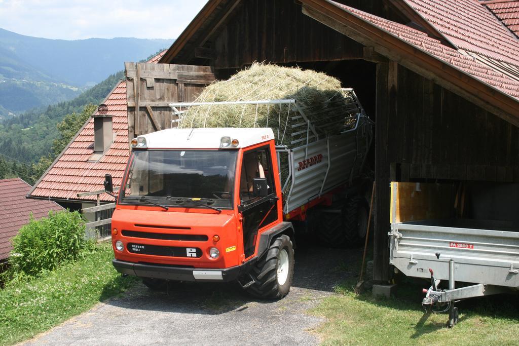 特雷芬 Gaestehaus Berger - Priglhof酒店 外观 照片